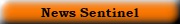 News Sentinel